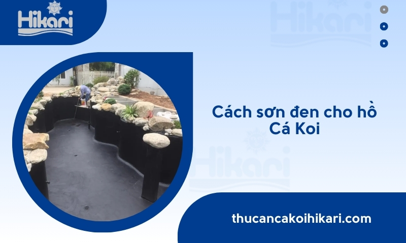 Trang chủ 25 Cách sơn đen cho hồ cá Koi