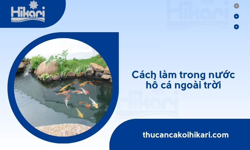 cách làm trong nước hồ cá ngoài trời