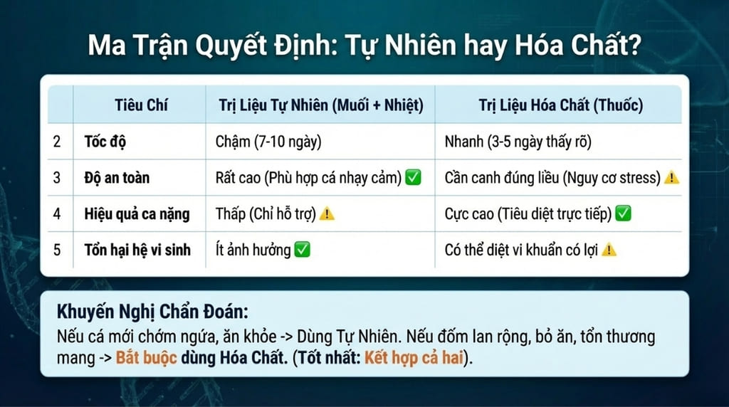 Cá bị nấm trắng: Nguyên nhân & Cách điều trị hiệu quả nhất