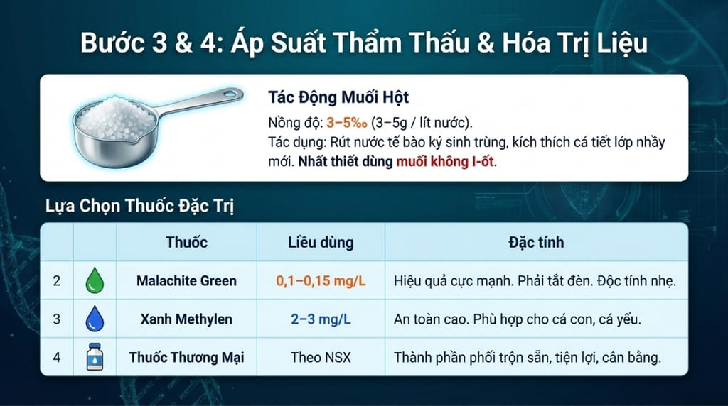 Cá bị nấm trắng: Nguyên nhân & Cách điều trị hiệu quả nhất