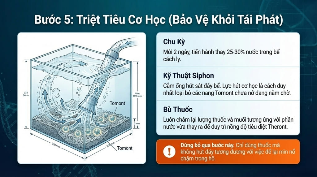 Cá bị nấm trắng: Nguyên nhân & Cách điều trị hiệu quả nhất