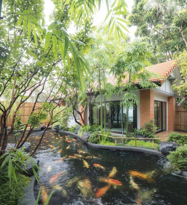 Hồ koi tại Peninsula Bangkok