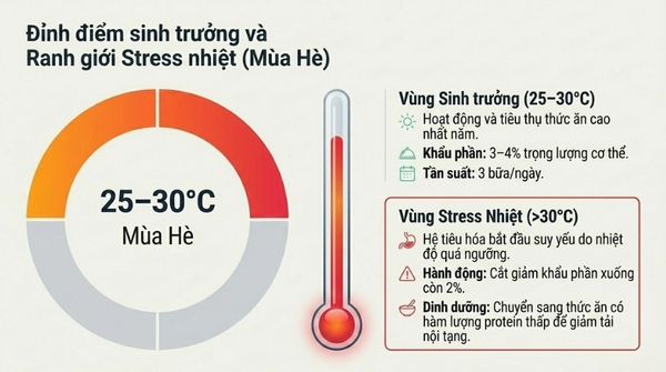 Mùa hè: Nhiệt độ nước từ 25 đến 30°C