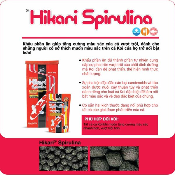 Hikari Spirulina