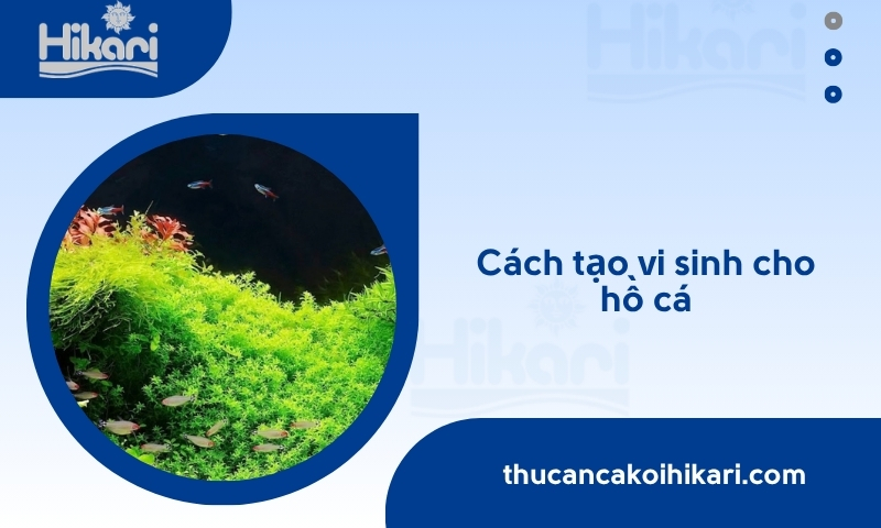 Trang chủ