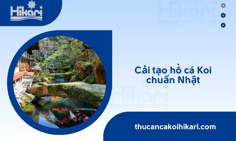 Trang chủ